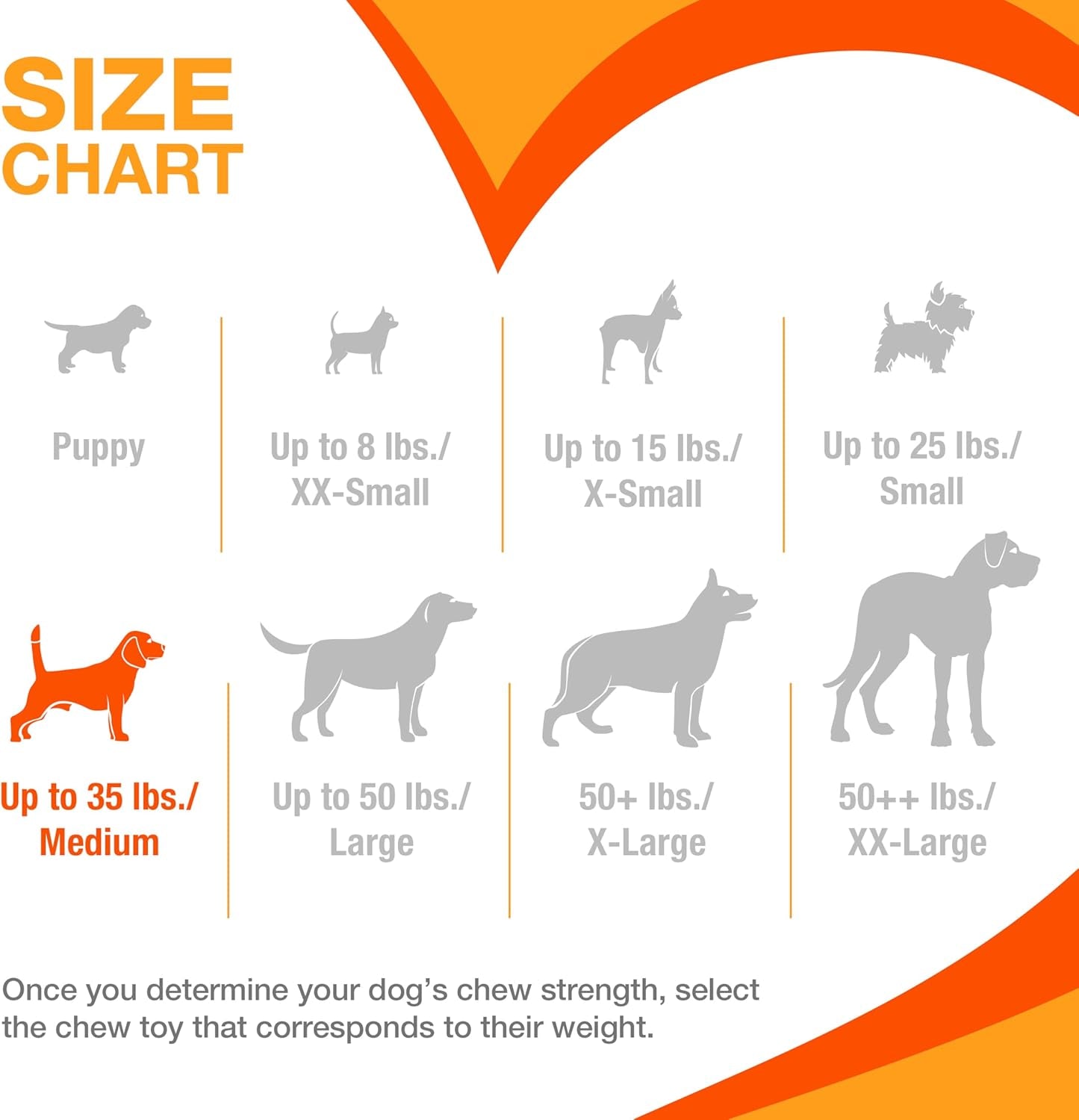 Classic Twin Pack Power Chew Flavored Durable Dog Chew Toy